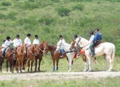 Pousada Fazenda Santa Fe Bezerros Eksteriør bilde