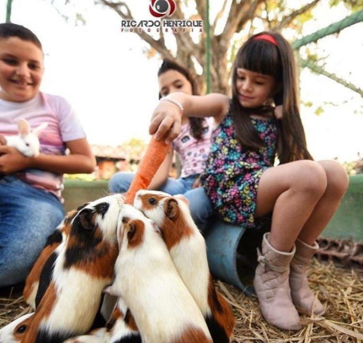 Pousada Fazenda Santa Fe Bezerros Eksteriør bilde